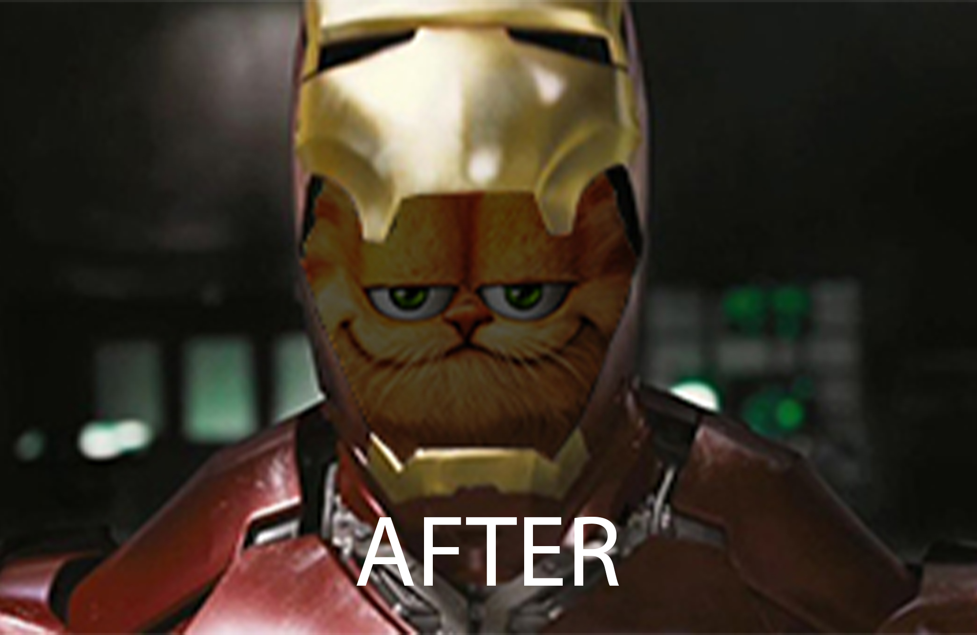 Ironman Garfield after